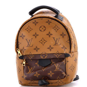 Louis Vuitton Palm Springs Backpack #224355L22B